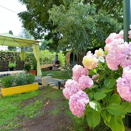 Mirana With Garden And Free Parking *